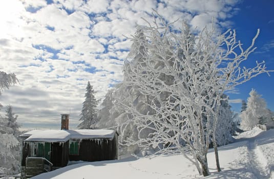 Winter in the Alps