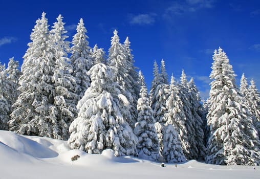 Winter in the Alps