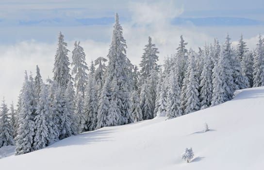 Winter in the Alps