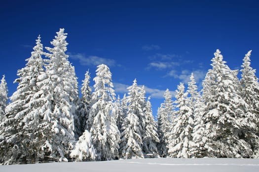 Winter in the Alps