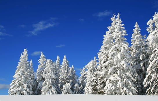 Winter in the Alps