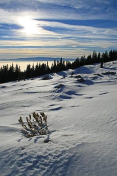 Winders in the Alps