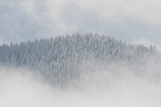 Winter in the Alps