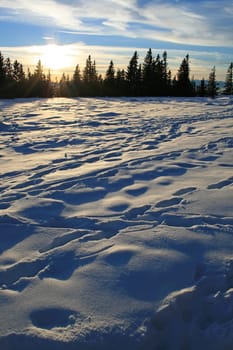 Winders in the Alps