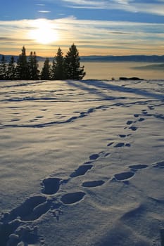 Winders in the Alps