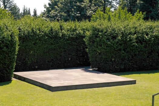 Portland, Oregon rose garden amphitheater stage with tall evergreen shrubs behind and to the sides outdoors under a sunny summer sky.