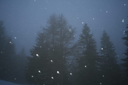 Blizzard