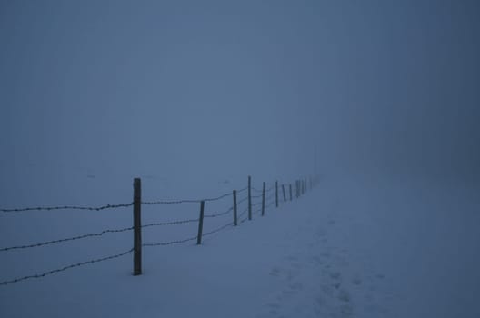 In the fog