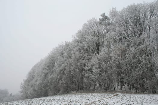 Winter in the Alps