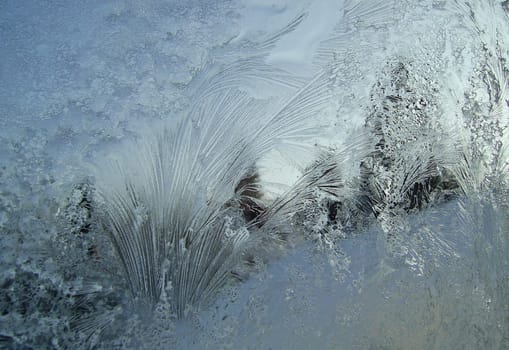 ice or ice winter or ice cream or ice arctic or ice antactica