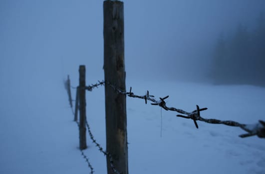 In the fog