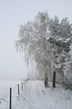 winter or winter snow or winter ice or winter deep snow