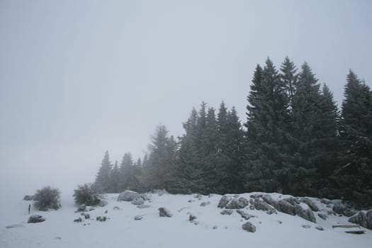 Winter in the Alps