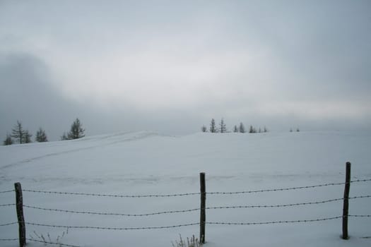 In the fog
