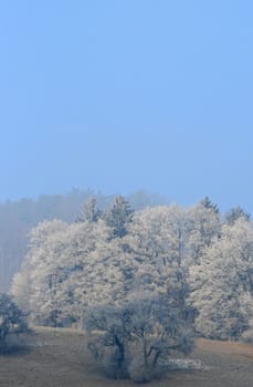winter or winter snow or winter ice or winter deep snow