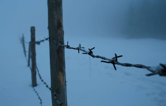 In the fog