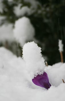 March snow