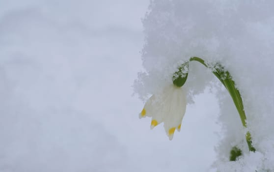 March snow