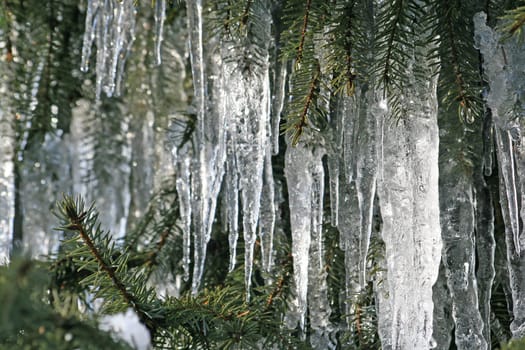 Icicle