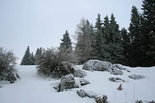 Winter in the Alps