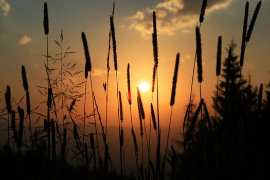 sunset or (sunset beach) or (sunset nature) or (sunset skyline)
