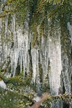 Icicle