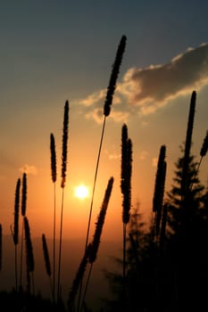 sunset or (sunset beach) or (sunset nature) or (sunset skyline)