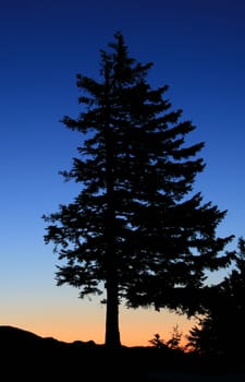 Blue hour