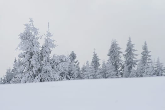 Winter in the Alps