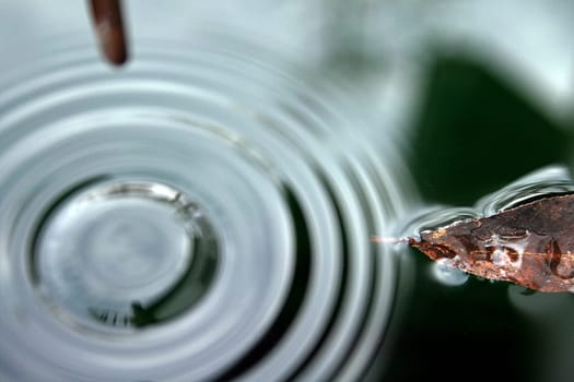 Waterdrop