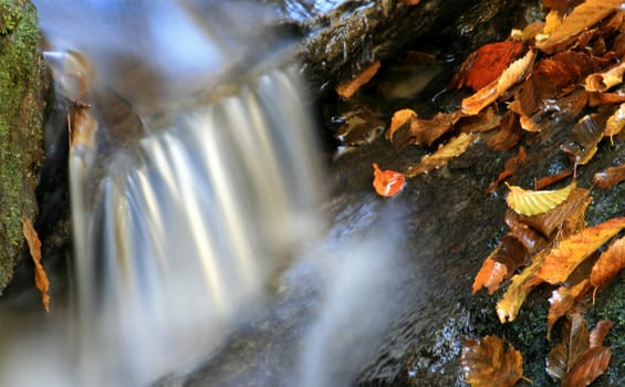 Autumn by the river