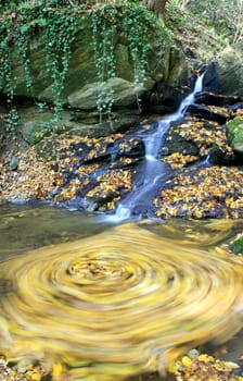 colorful swirl