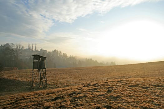 Raised hide