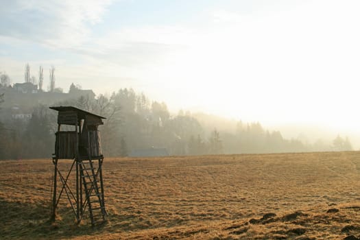 Raised hide