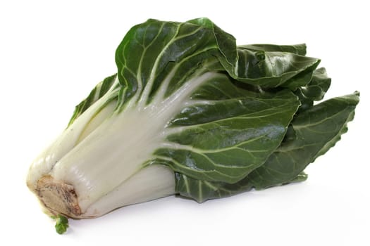 a chard plant against a white background