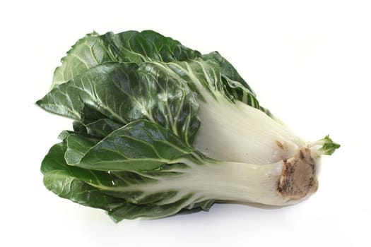 a chard plant against a white background