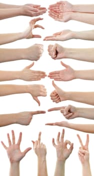 set of many different hands isolated on white background