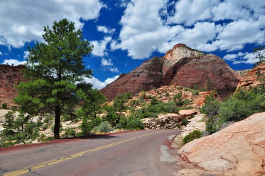 Lonely road in Zion National Park,Utah,USA