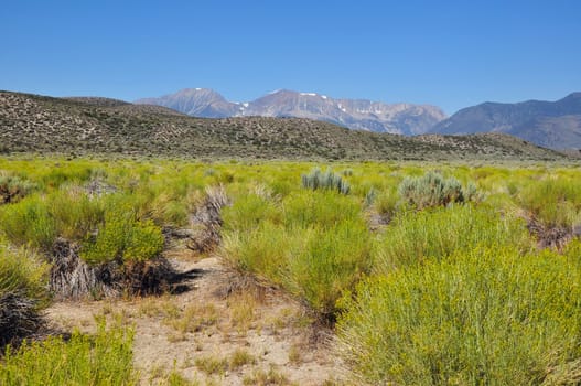 Landscape at Mono Lake,California,USA