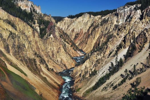 Yellowstone National Park,Wyoming,USA