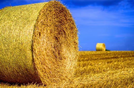 bales of straw on farmland - HDR picture