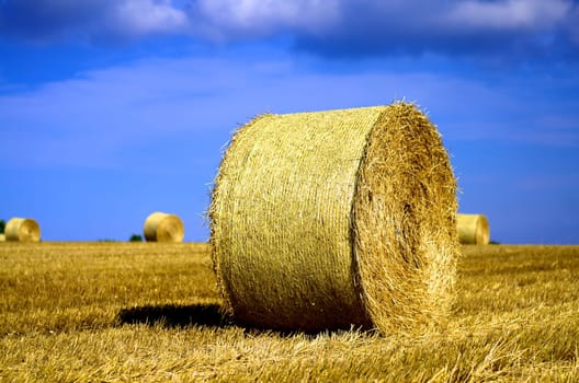 bales of straw on farmland - HDR picture