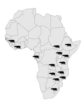 Hippopotamus Africa Distribution