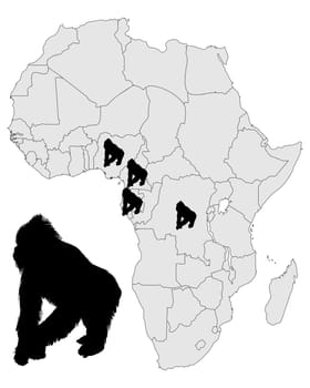Africa Gorilla Distribution