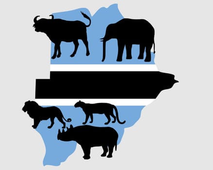 "Big Five"" Botswana"