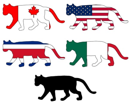 Puma Flags