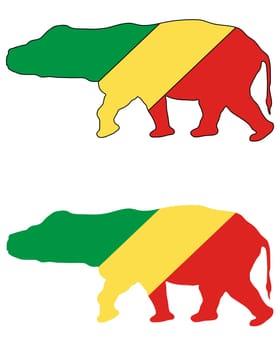 Hippopotamus Congo