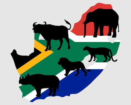 "Big Five"" South Africa"