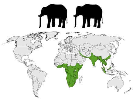 Elephant Distribution