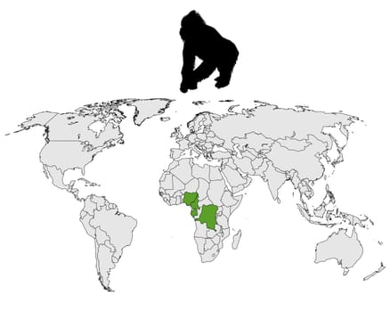 World Gorilla Distribution